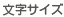 文字サイズ